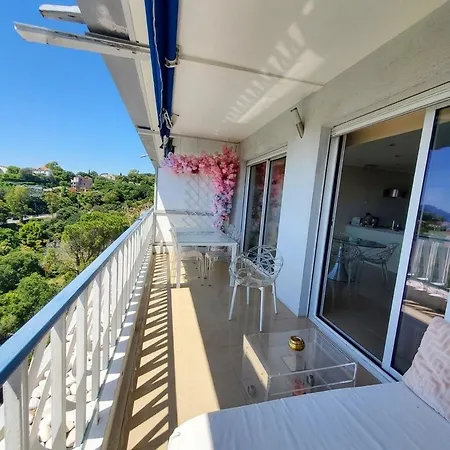 Cannes Magnifique Vue Mer, 2 Chambres, Grande Terrasse Et Parking Cannes